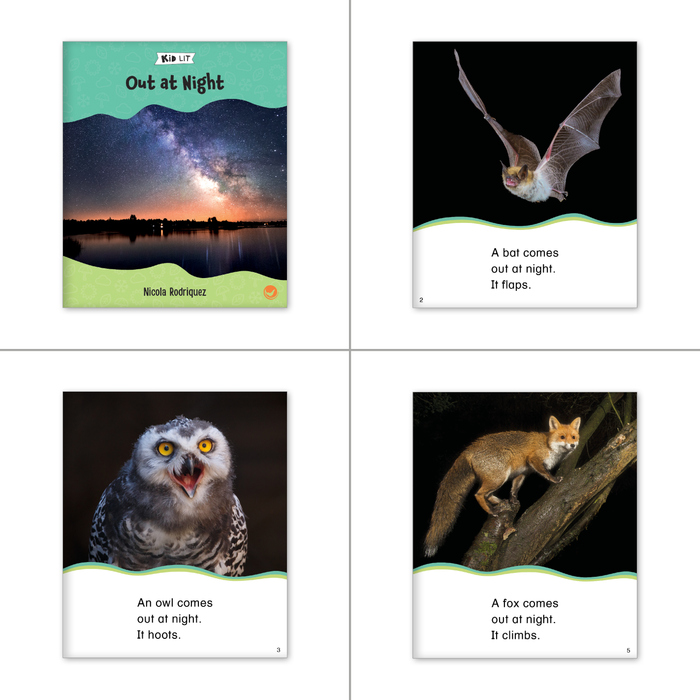 Animals Kindergarten Theme Set (6-Packs)