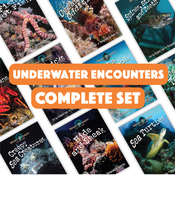 Underwater Encounters Complete Set from Underwater Encounters