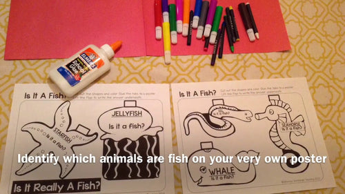 "Fish or Not" Poster Activity