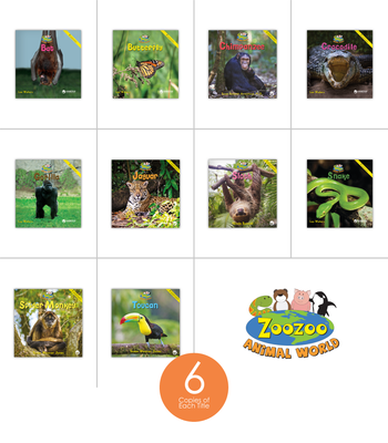 Zoozoo Animal World Rainforest Sampler Set (6-Packs) from Zoozoo Animal World