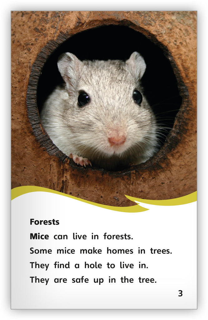 A House for a Mouse Fables & the Real World