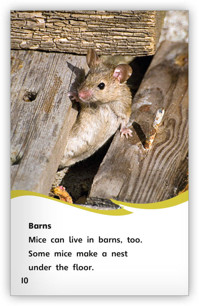 A House for a Mouse Fables & the Real World