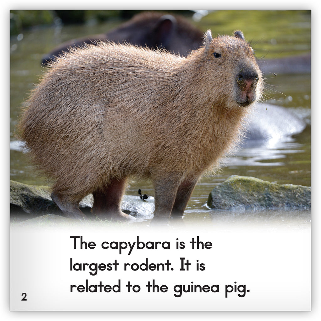 Capybara カピバラの詳細な学術書(英語) 【公式通販】