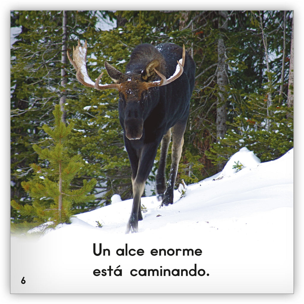 El alce - Zoozoo Mundo Animal - Hameray Publishing, image size:1024x1024