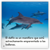 El delfín from Zoozoo Mundo Animal