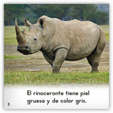 El rinoceronte from Zoozoo Mundo Animal