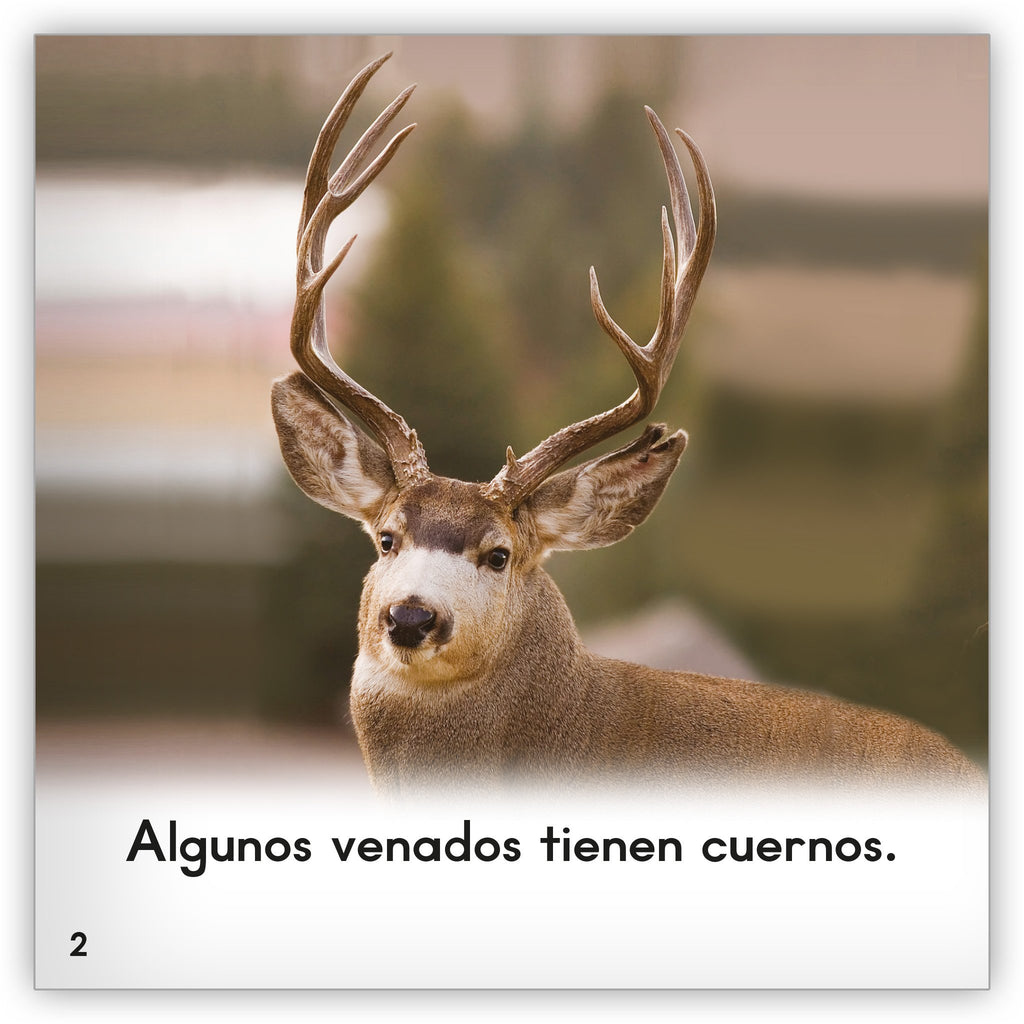 El venado Zoozoo Mundo Animal Hameray Publishing