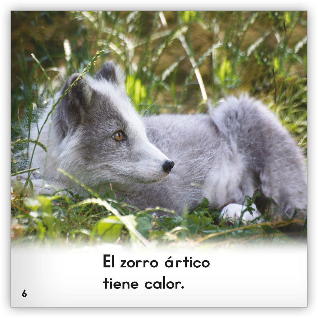 El zorro ártico - Zoozoo Mundo Animal - Hameray Publishing