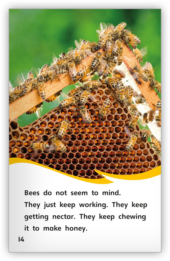 How Do Bees Make Honey? - WorldAtlas