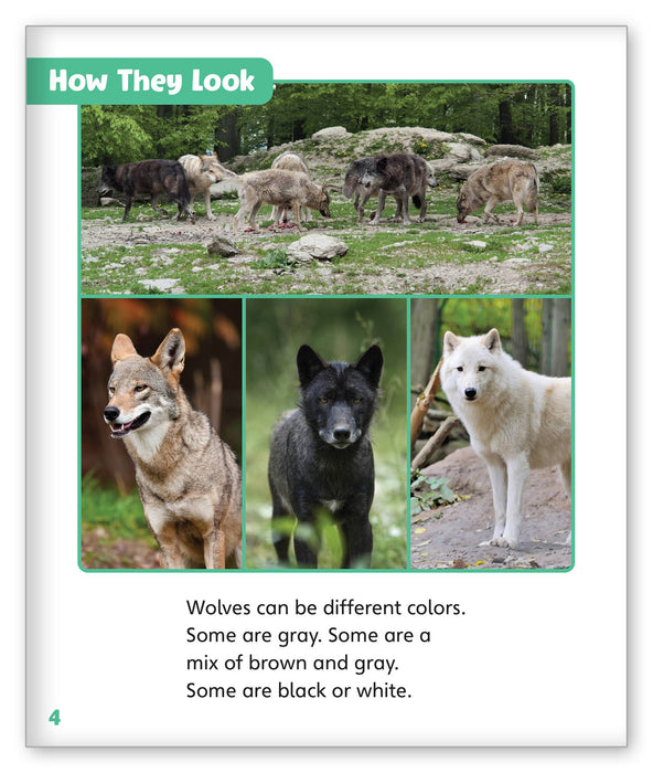 Wolves in the Wild from Story World Real World
