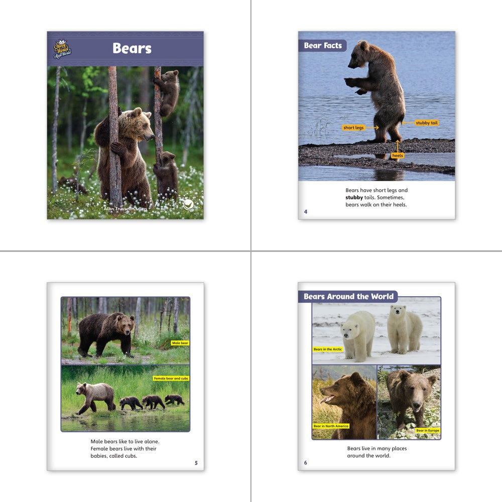 Land Mammals Theme Set (6Packs) Hameray Publishing