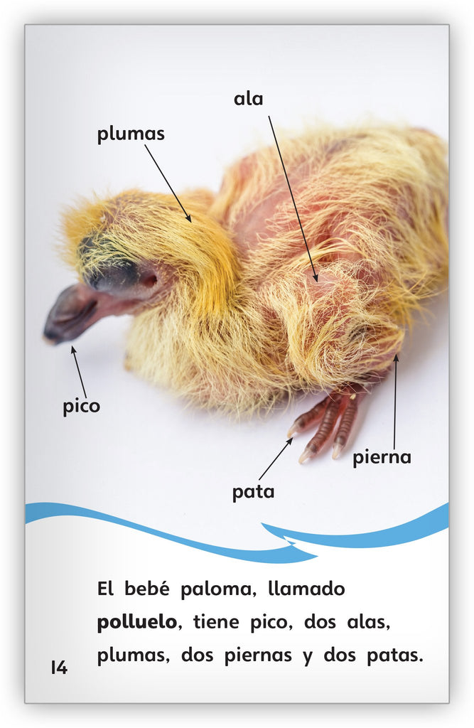 Las palomas - Fábulas y el Mundo Real - Hameray Publishing