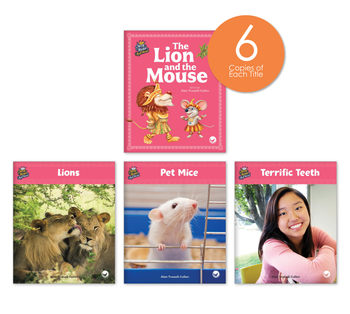 The Lion and the Mouse Theme Set (6-Packs) from Story World Real World
