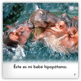 Los hipopótamos from Zoozoo En La Selva