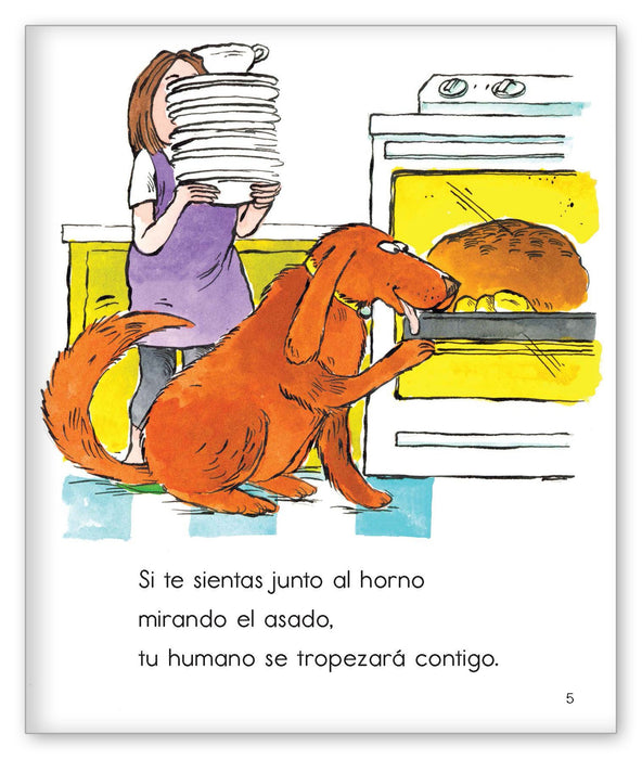 Un libro para perros mascota from Colección Joy Cowley