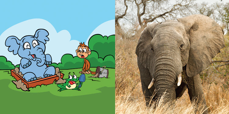 10 Fun Facts About Elephants for Kids in Kindergarten and First Grade