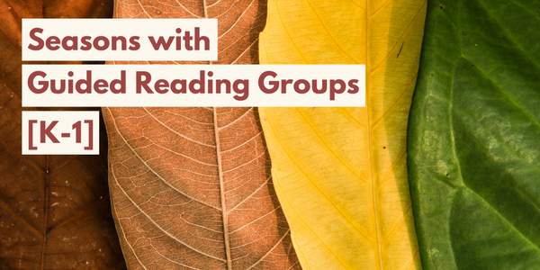 Seasons with Guided Reading Groups—includes FREE Download!