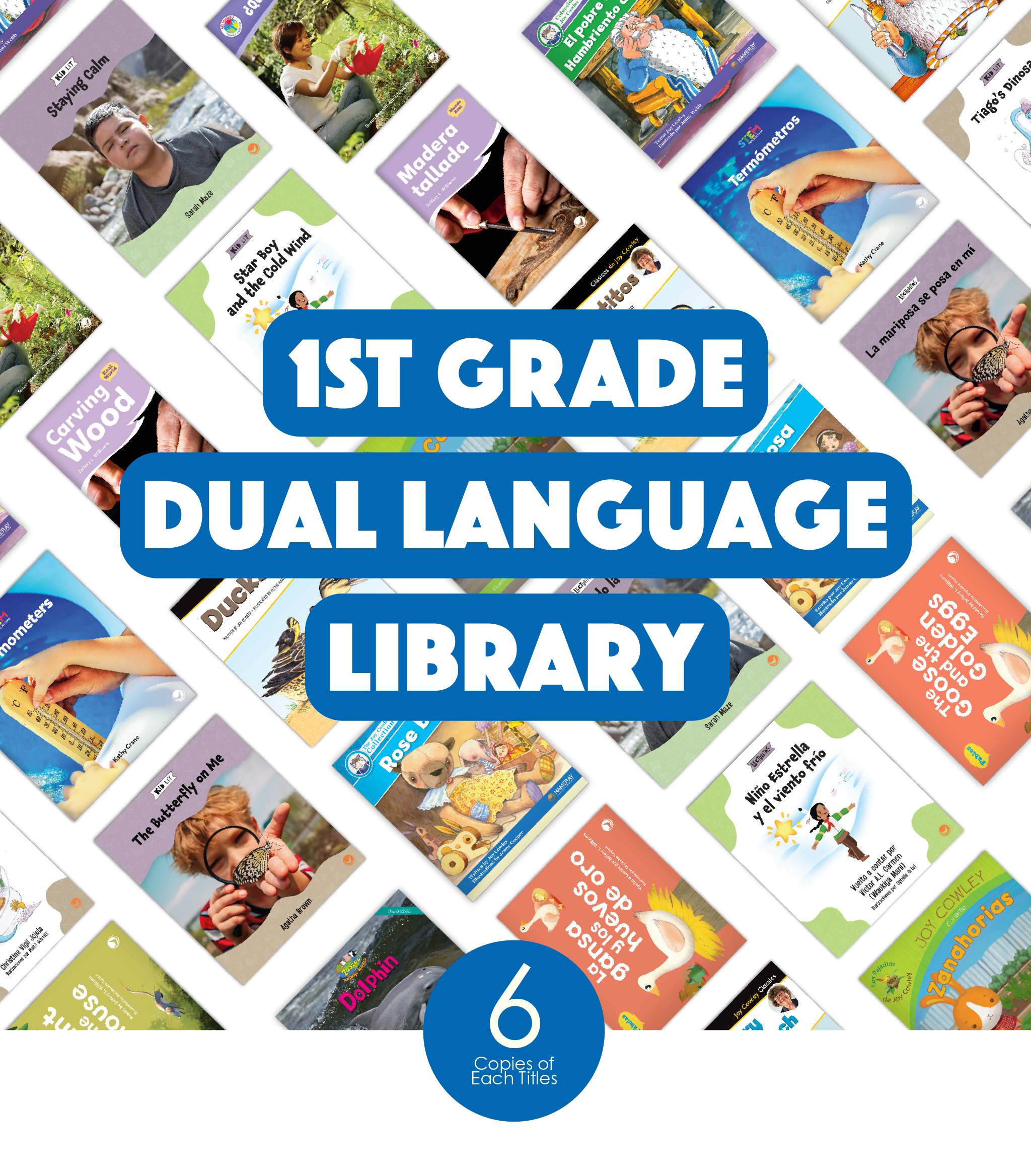 Dual Language Book First 1st Grade Dual Language Library (6-Packs) - Hameray Publishing