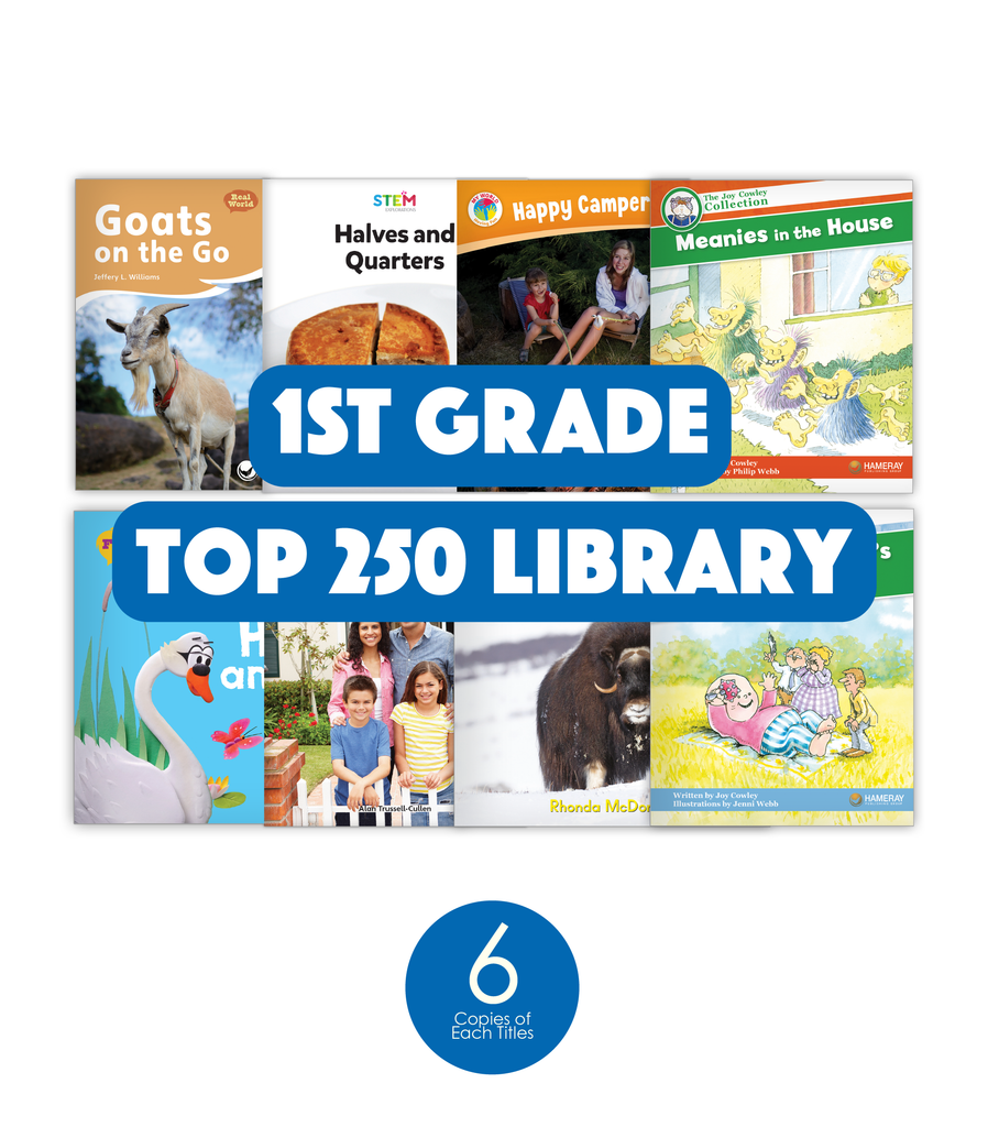 1st Grade Top 250 Library (6-Packs) - Hameray Publishing