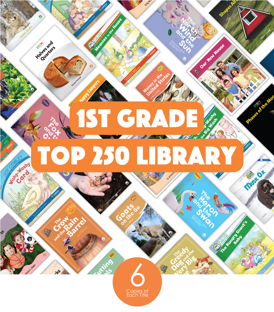 1st Grade Top 250 Library (6-Packs) - Hameray Publishing