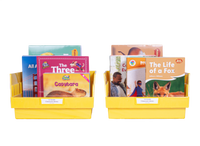 1st Grade Classroom Library