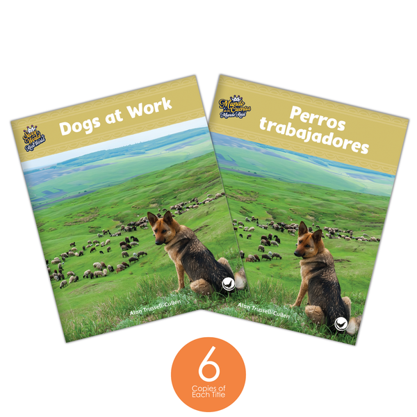 2nd Grade Dual Language Library (6-Packs)