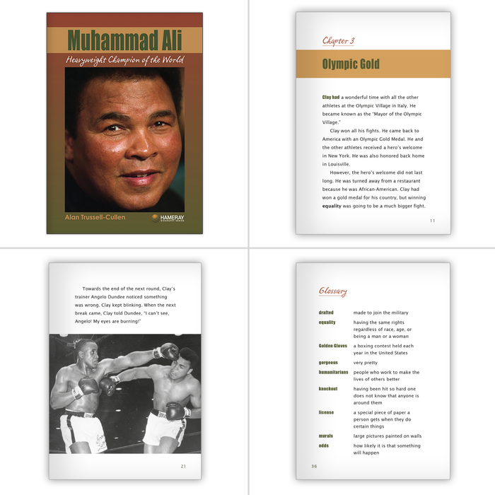 Ha Ray Books Hameray Chapter Book Complete Set (6-Packs) - Hameray Publishing