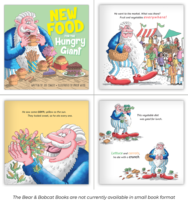 Hameray Big Book Combo Set