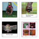 Reading Bridge Fluency Set - Core (Schoolwide Set)