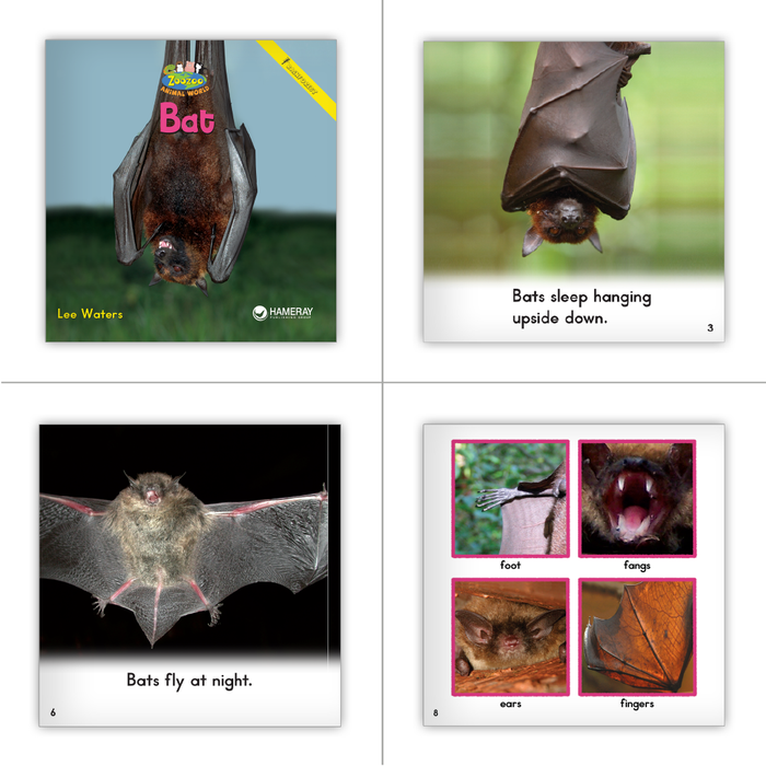 Reading Bridge Fluency Set - Core (Schoolwide Set)