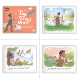 Reading Bridge Fluency Set - Core (Schoolwide Set)