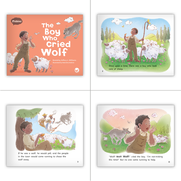 Reading Bridge Fluency Set - Core (Schoolwide Set)