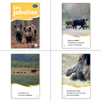 K-2 Complete Spanish Library