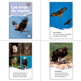 El búho y los conejos Theme Set