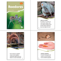 Los cuatro amigos y el cazador Theme Set (6-Packs)