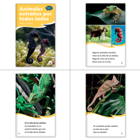 El jabalí y el camaleón Theme Set (6-Packs)