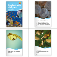 Fábulas y el Mundo Real Dual Language Set (6-Packs)