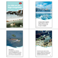 La pata y el Viento del Norte Theme Set (6-Packs)