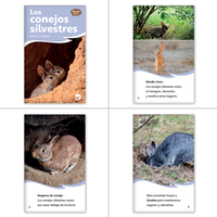 El búho y los conejos Theme Set (6-Packs)