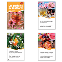 Dual Language Level L Set