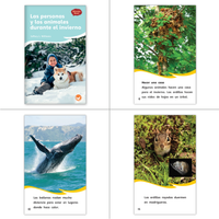 La pata y el Viento del Norte Theme Set (6-Packs)