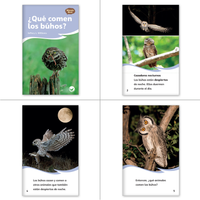 Spanish Kindergarten Nonfiction Classroom Library