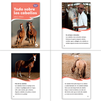 El granjero que decia quizás Theme Set