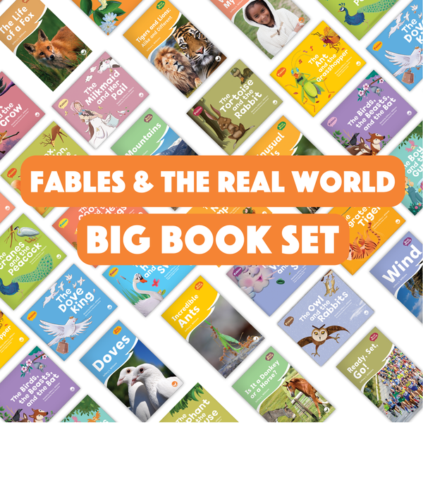 Fables & the Real World Big Book Set