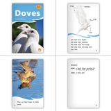 Hameray Big Book Combo Set