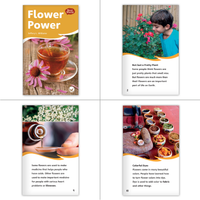 Dual Language Level L Set