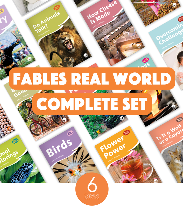 Fables Real World Complete Set (6-Packs)