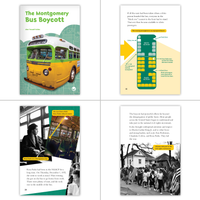 Hameray Chapter Book Complete Set