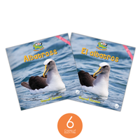 K-2 Nonfiction Dual Language Library (6-Packs)