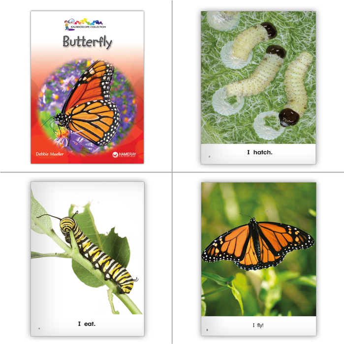 Ha Ray Books Hameray Big Book Collection - Hameray Publishing